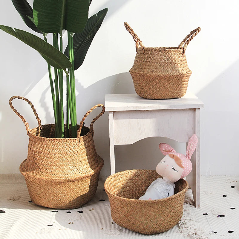 Cesta - Iris