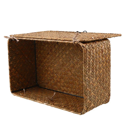 Cesta - África